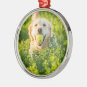 Golden Retriever Metalen Ornament (Links)