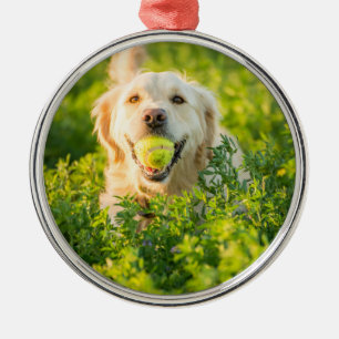 Golden Retriever Metalen Ornament