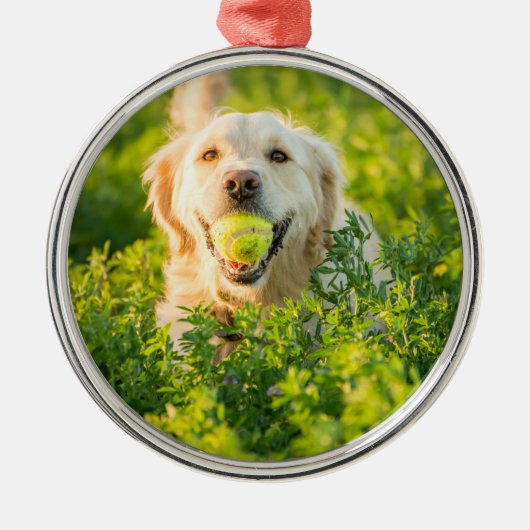 Golden Retriever Metalen Ornament (Voorkant)