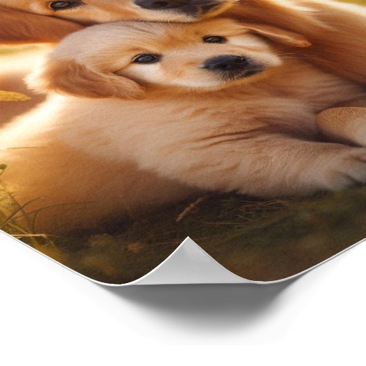 Golden Retriever moeder en haar puppy Poster (Hoek)