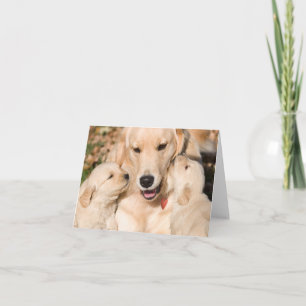 Golden Retriever Moederdag-briefkaart Kaart