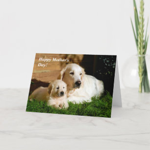 Golden Retriever Moederdag mam en puppy card Kaart