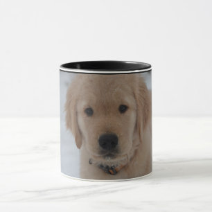 Golden Retriever Mok