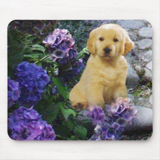 Golden Retriever Mousepad Hydrangea Muismat (Voorkant)