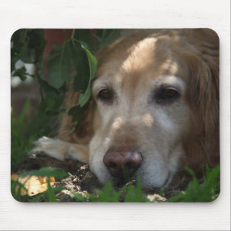 Golden Retriever Muismat