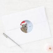 Golden retriever naar/van Kerst stickers (Envelop)