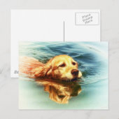 Golden Retriever nage - Chien Art carte postale (Devant / Derrière)