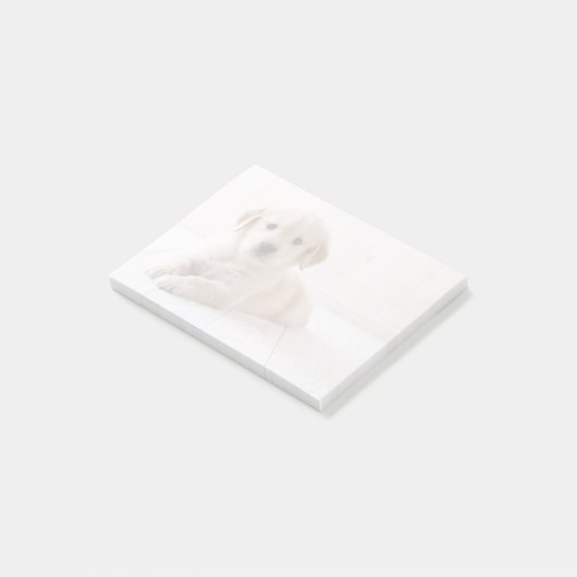 Golden Retriever neerwaarts Post-it® Notes (Schuin)