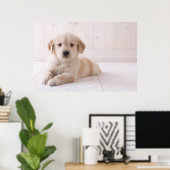Golden Retriever neerwaarts Poster (Thuiskantoor)