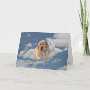 Golden Retriever Ont Une Carte D'Anniversaire Para