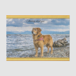 Golden Retriever op de blauwe oceaan rotsachtig Tissuepapier