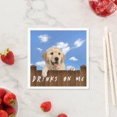 Golden Retriever op een hek Servet (Insitu)