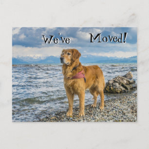 Golden Retriever op het strand We've Moved Aankondigingskaart