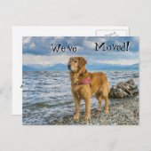 Golden Retriever op het strand We've Moved Aankondigingskaart (Voorkant / Achterkant)
