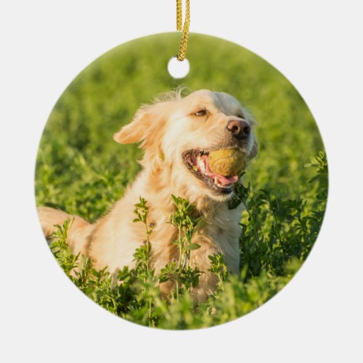 Golden Retriever Ornament (Voorkant)