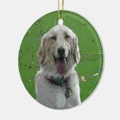 Golden Retriever Ornament (Links)