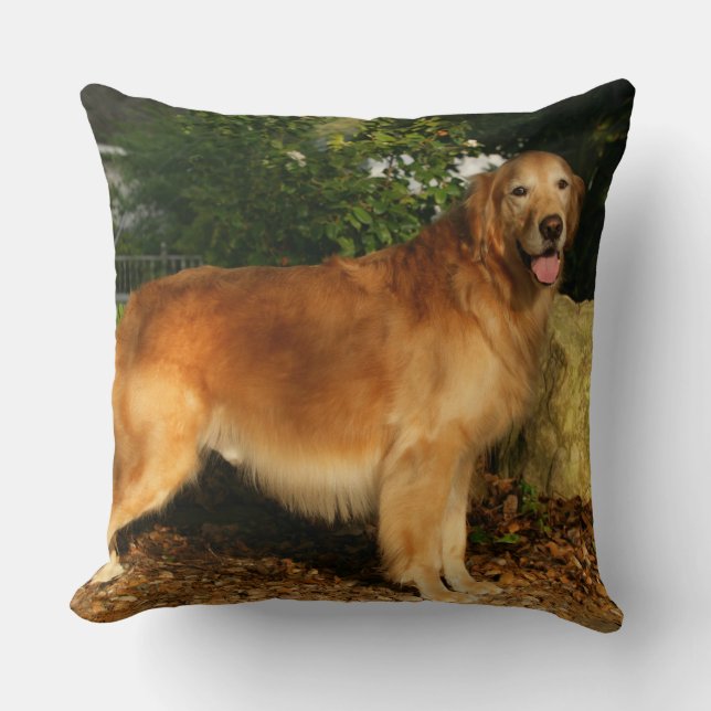Golden Retriever Panting Kussen (Voorkant)