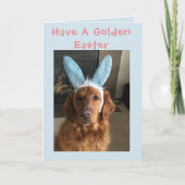 Golden retriever Pasen Feestdagen Kaart (Voorkant)