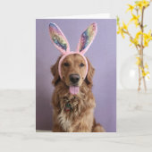 Golden Retriever Pasen kaart (Gele Bloem)