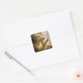 Golden Retriever Peeking Through Blinds Vierkante Sticker (Envelop)