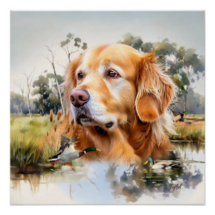 Golden Retriever Perfect Poster