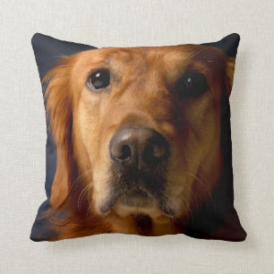 Golden Retriever Pet Dog Sierkussen Home Decor