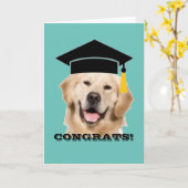 Golden Retriever Pet en Tassel Congrats Afstuderen Kaart (Gele Bloem)