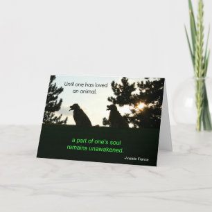 Golden Retriever Pet Sympathcard Kaart