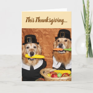 Golden Retriever Pilgrim's Bounty Thanksgiving Kaart