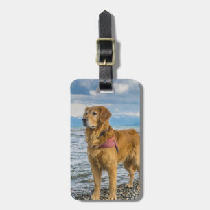 Golden Retriever Plaats je eigen foto-Bagagelabel Bagagelabel