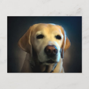 Golden Retriever Portret Briefkaart