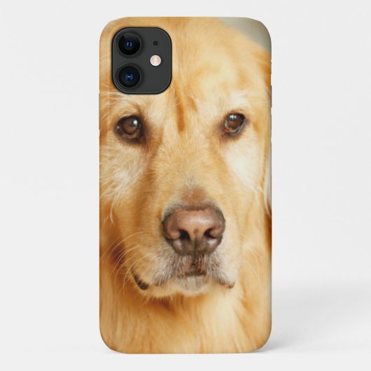 Golden Retriever Portret Case-Mate iPhone Case (Achterkant)