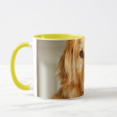 Golden Retriever Portret Mok (Links)