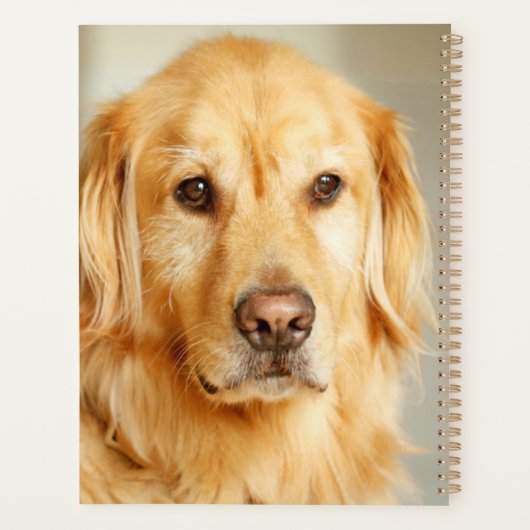 Golden Retriever Portret Planner (Achterkant)