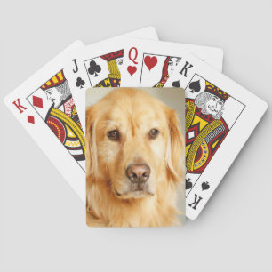 Golden Retriever Portret Pokerkaarten