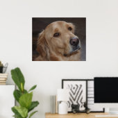 Golden Retriever Poster (Thuiskantoor)