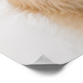 Golden Retriever Poster (Hoek)