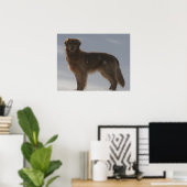 GOLDEN RETRIEVER POSTER (Thuiskantoor)
