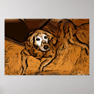 Golden Retriever Poster