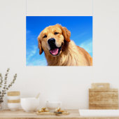 Golden Retriever Poster (Keuken)