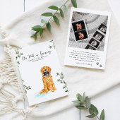 Golden Retriever Pregnancy Announcement Aankondiging