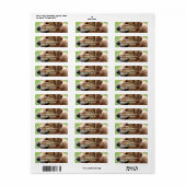 Golden Retriever Pup Étiquettes de messagerie (Feuille entière)