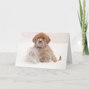 Golden Retriever pup in sneeuw Kaart