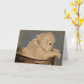 Golden Retriever pup Kaart (Gele Bloem)