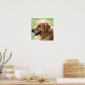 Golden Retriever Pup Poster Print (Keuken)