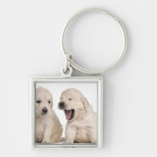 Golden Retriever puppies (4 weken oud) Sleutelhanger