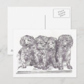 Golden Retriever Puppies Briefkaart (Voorkant / Achterkant)