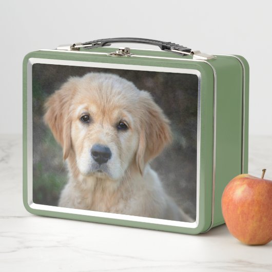 Golden Retriever Puppy (In situ)