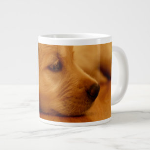 Golden Retriever Puppy Antoine Melancholi Grote Koffiekop