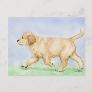 Golden Retriever Puppy Art Post Card Briefkaart